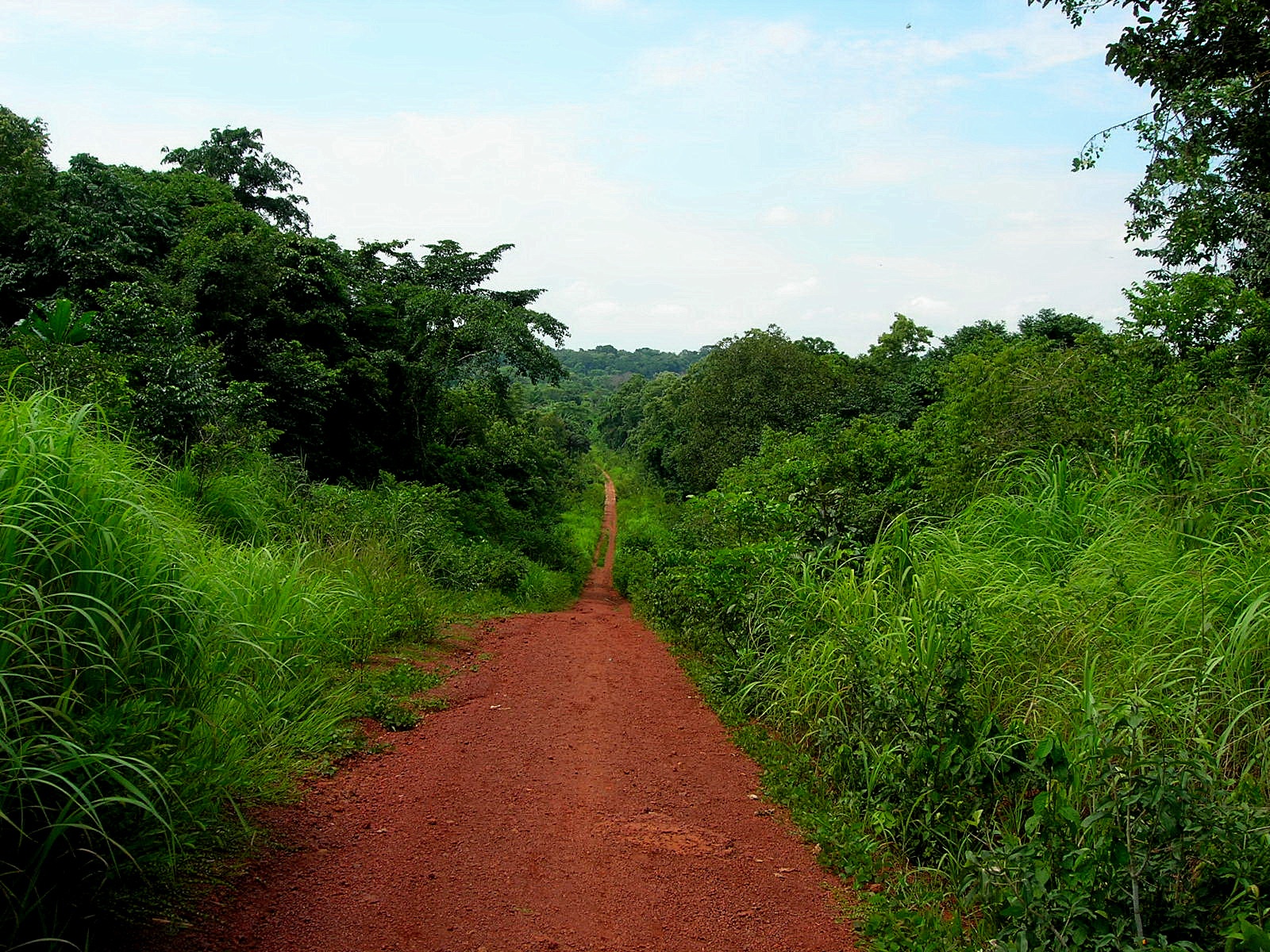 Центральноафриканская Республика природа
