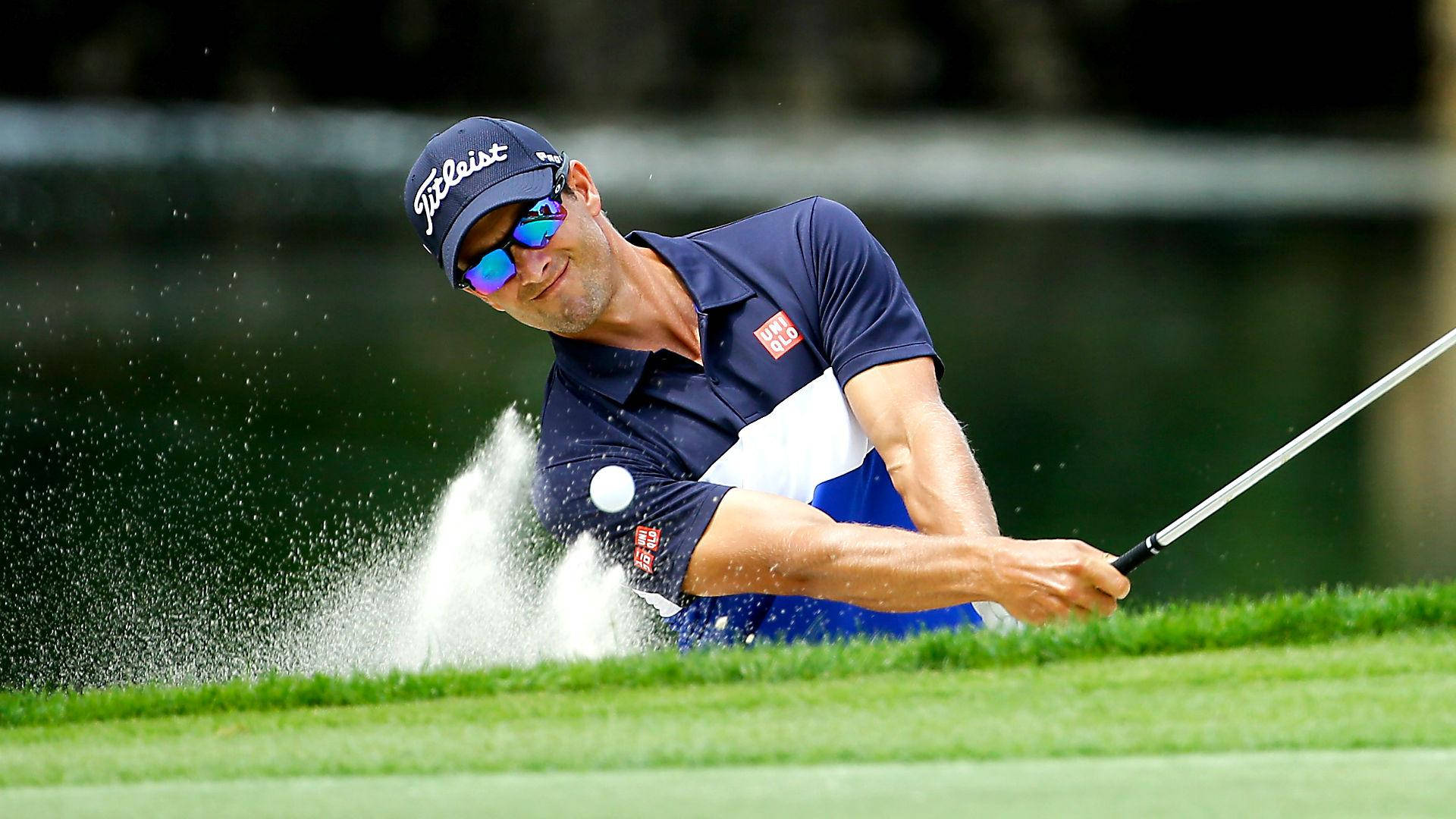 Fonds Photo De Adam Scott Wallpaper