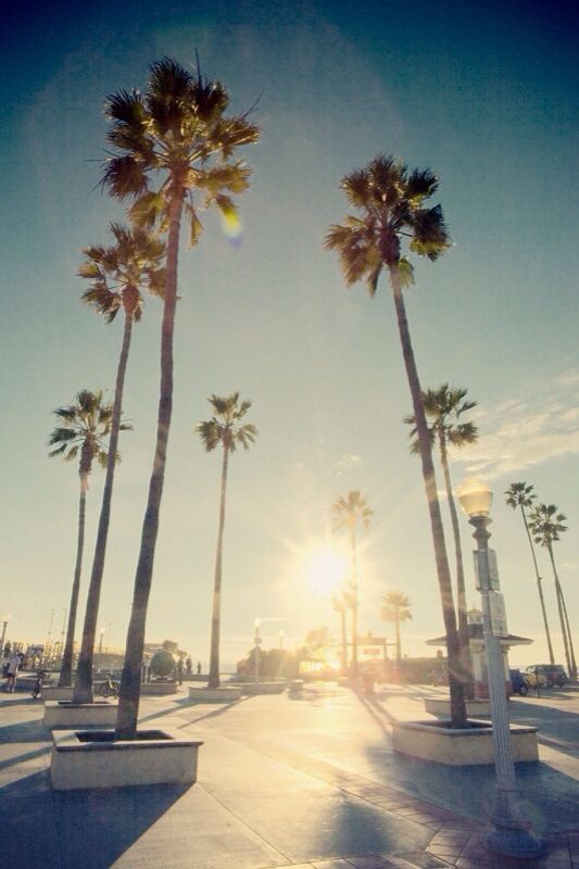 California beach iPhone wallpaper Satisfaction Pinterest