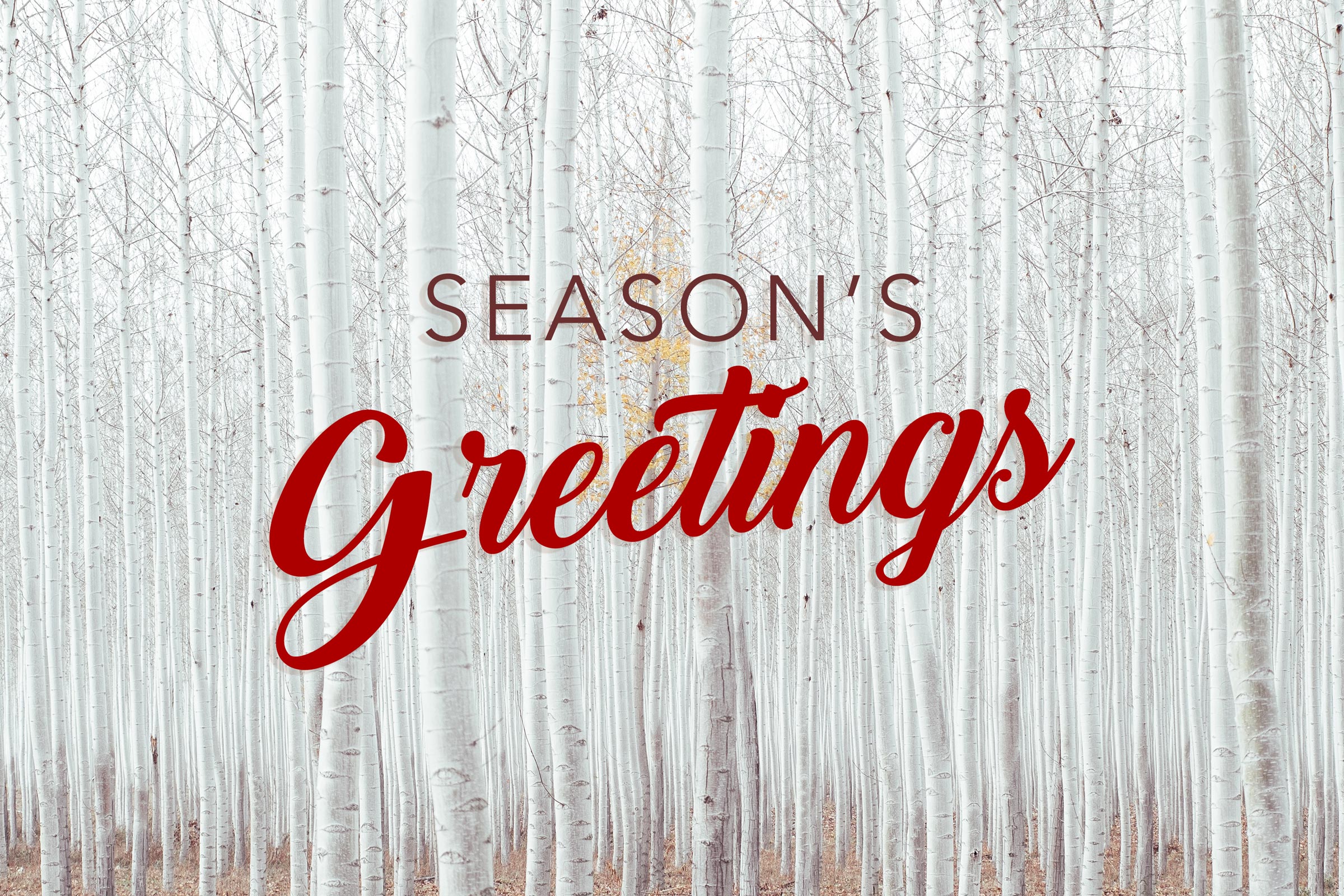 Free download 15 Seasons Greetings Cards Stock Images HD 2400x1600