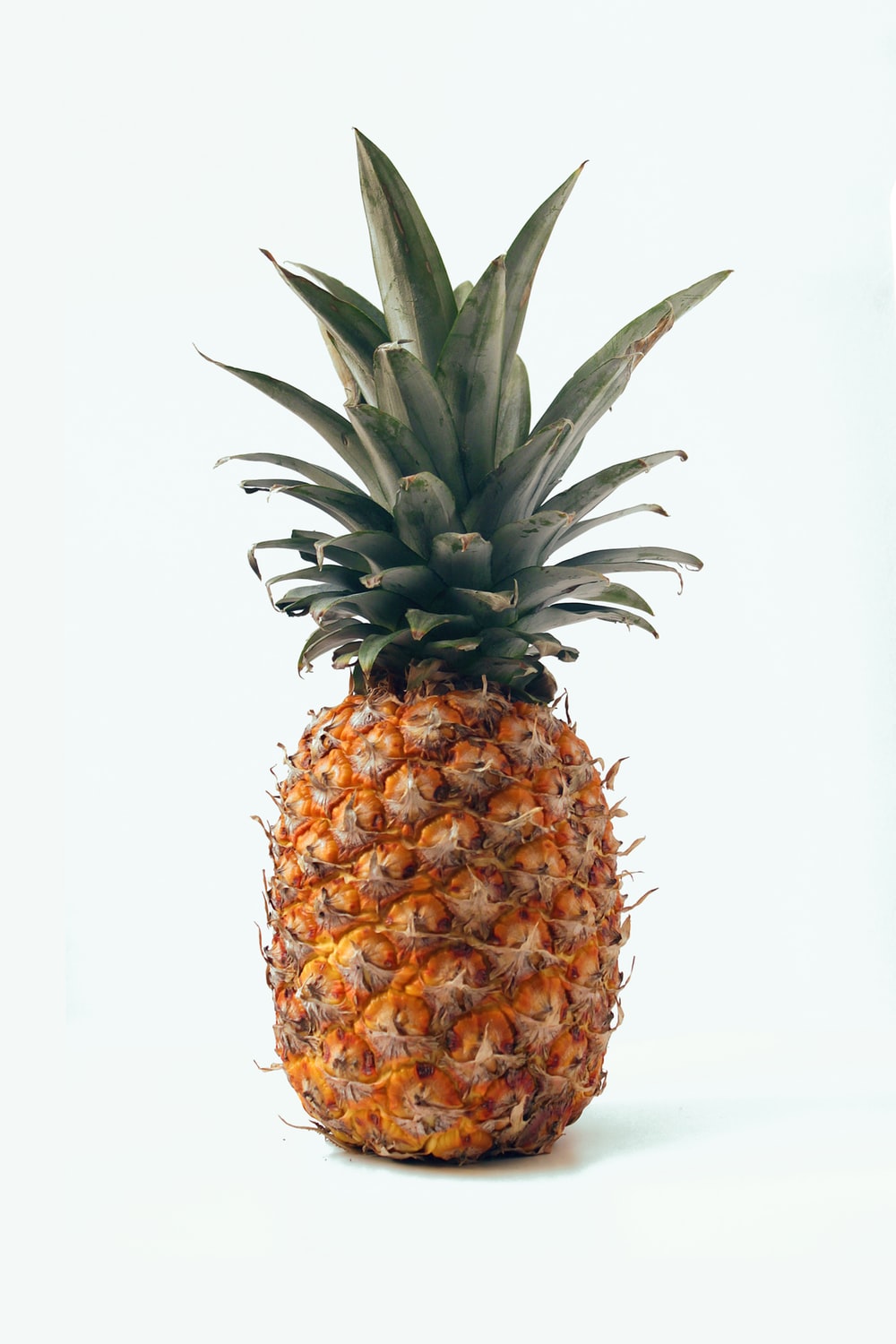 900 Pineapple Background Images Download HD Backgrounds on