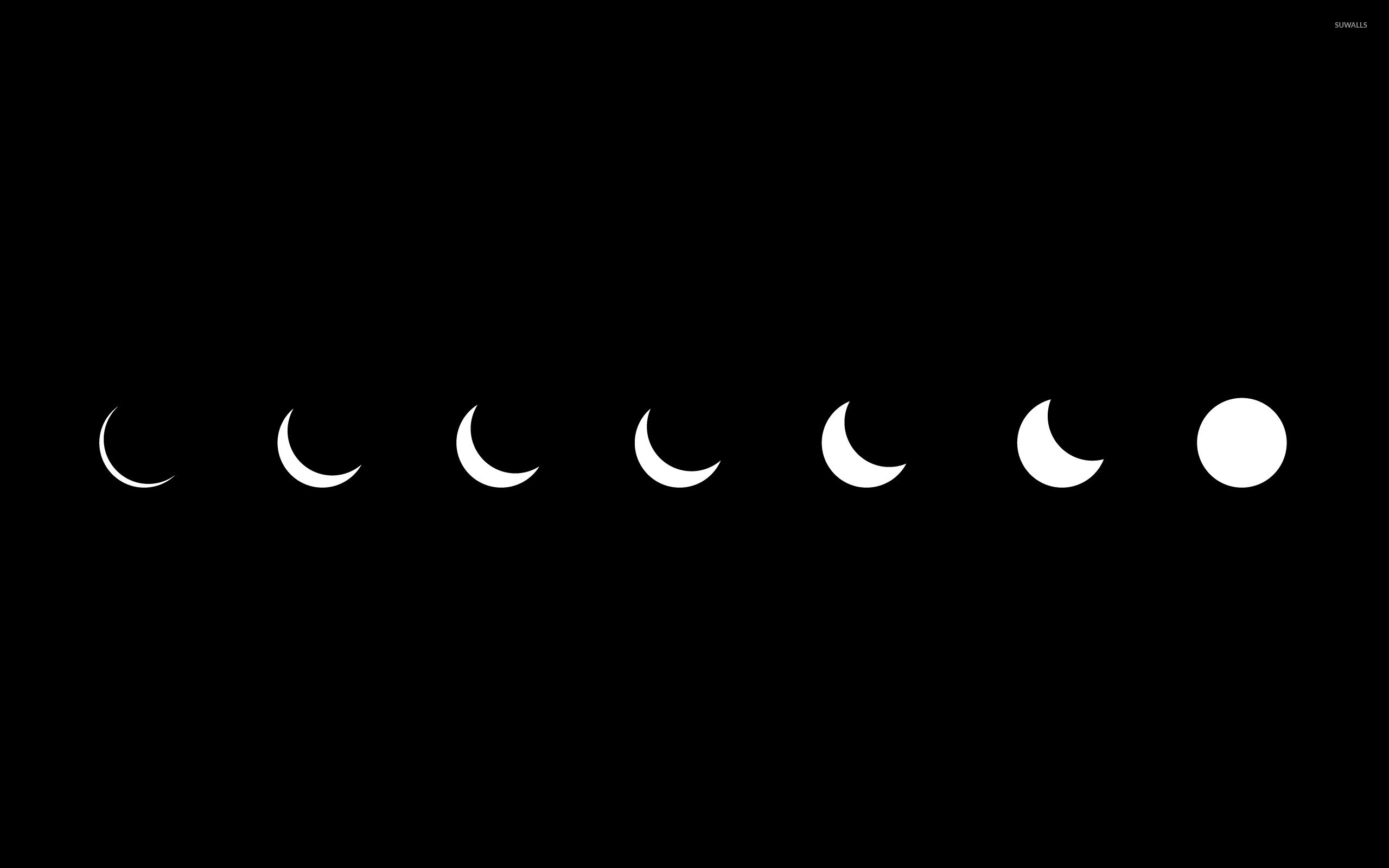 Phases of the moon wallpaper   Vector wallpapers   44719 2560x1600
