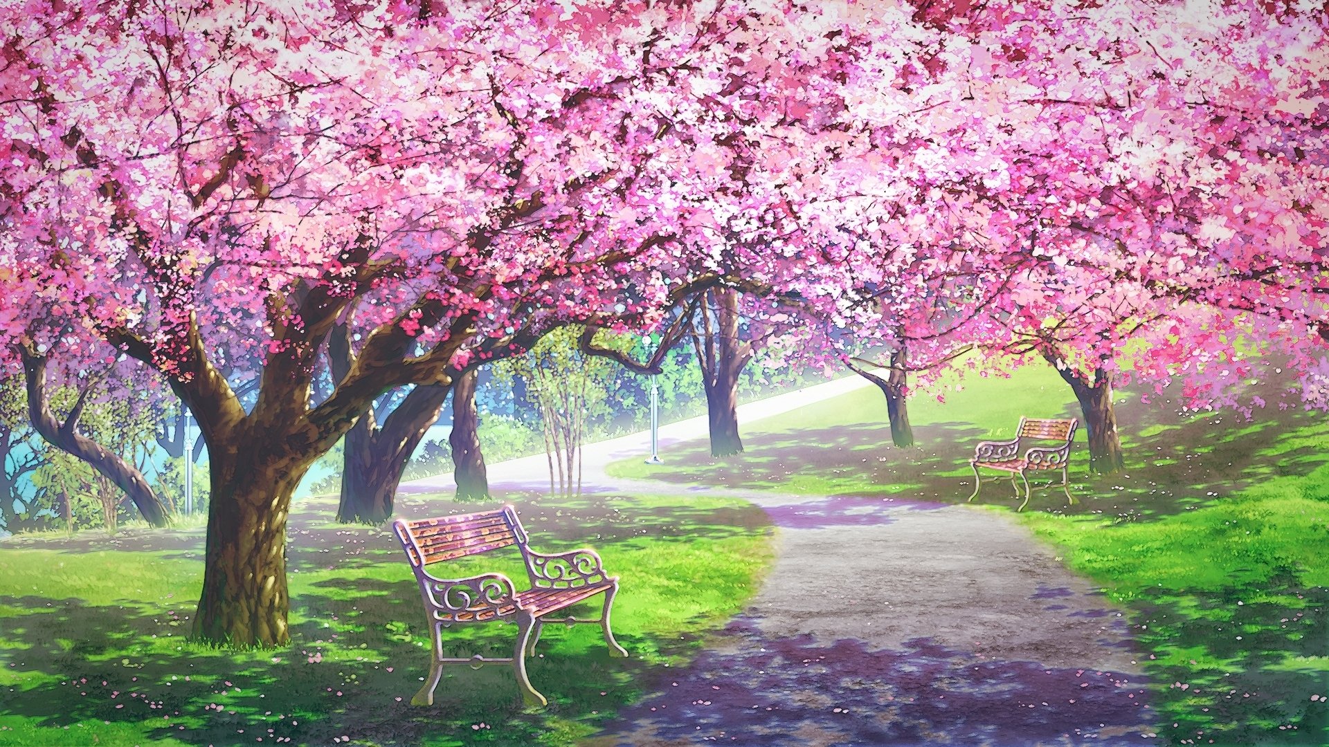 Cherry Blossom Wallpaper Anime Top