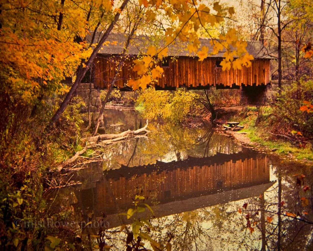 Fall Covered Bridge Photograph Print By Mistflowerphoto