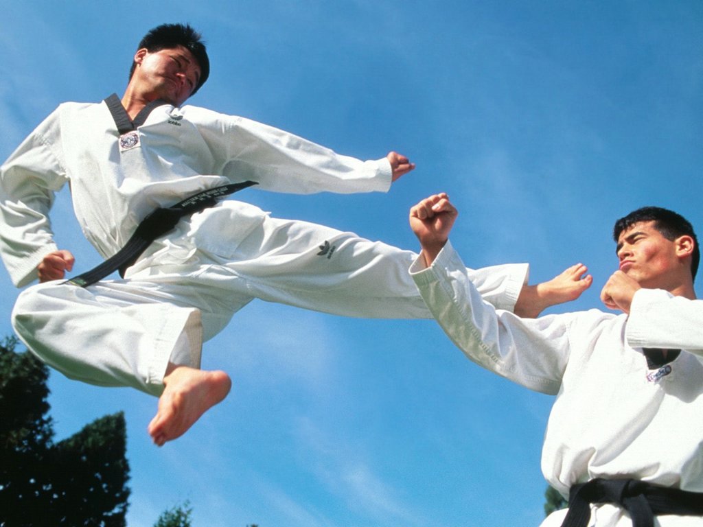 48+] Karate Wallpapers Free Download - WallpaperSafari