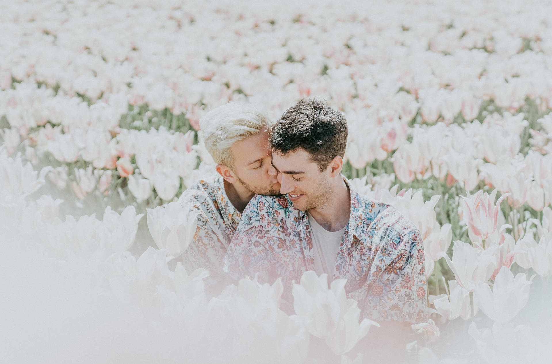 Gay Boys Wallpaper