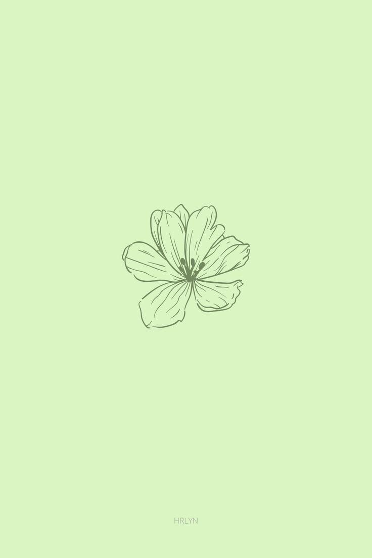 Wallpaper Flower Green Minimalist Mint