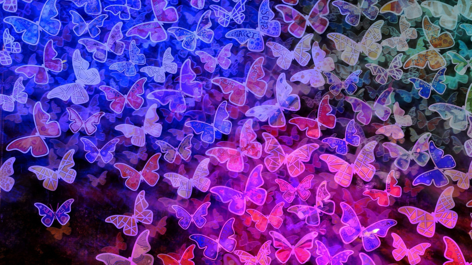 Butterfly Laptop Full HD 1080p 4k Wallpaper