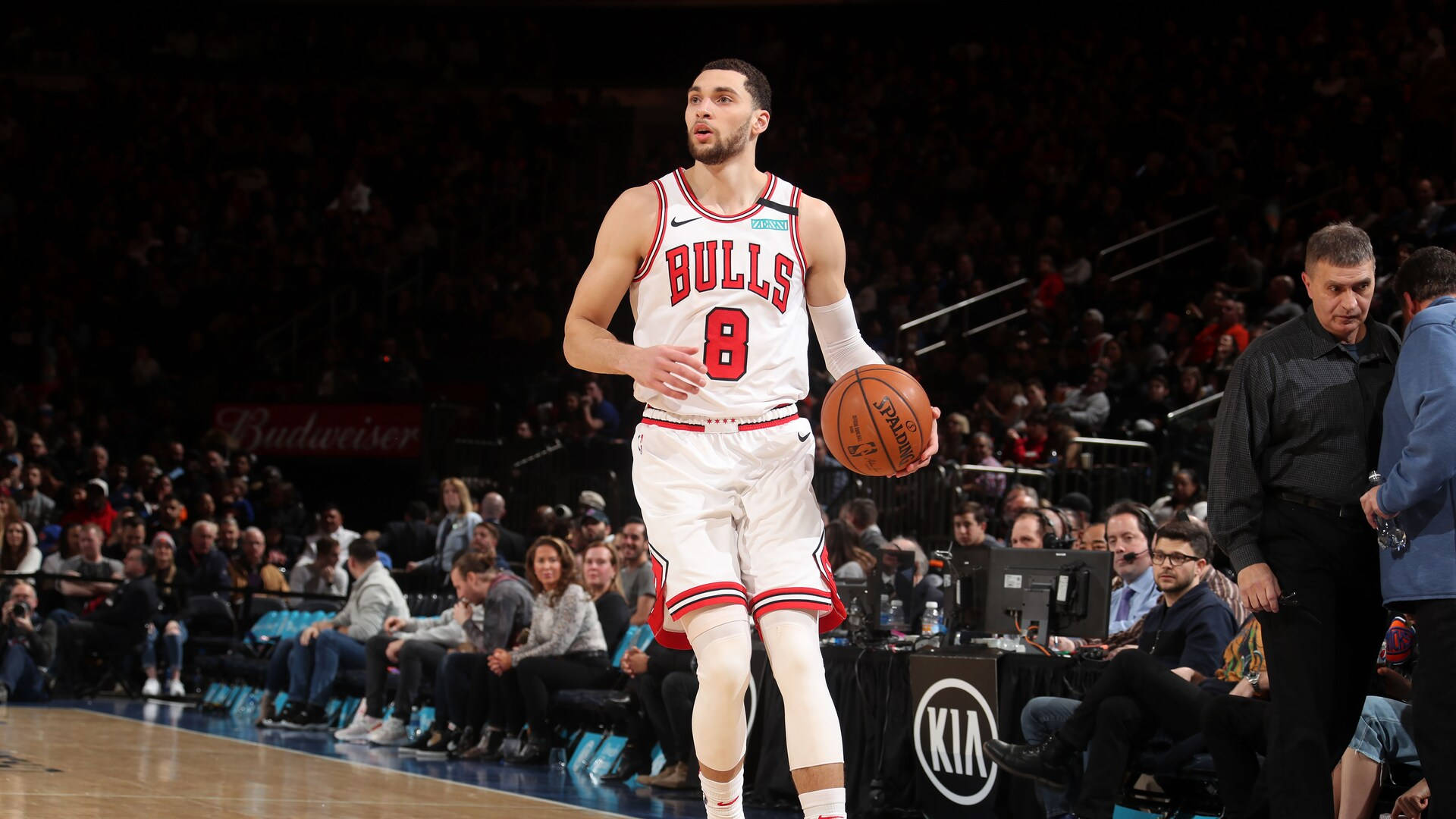 Lavine Wallpaper