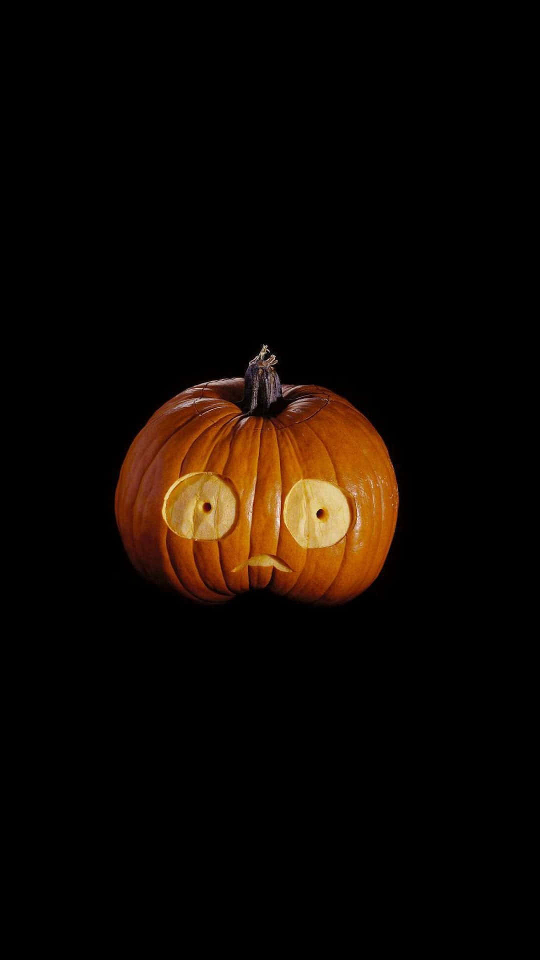 Cute Pumpkin Picture Wallpaper