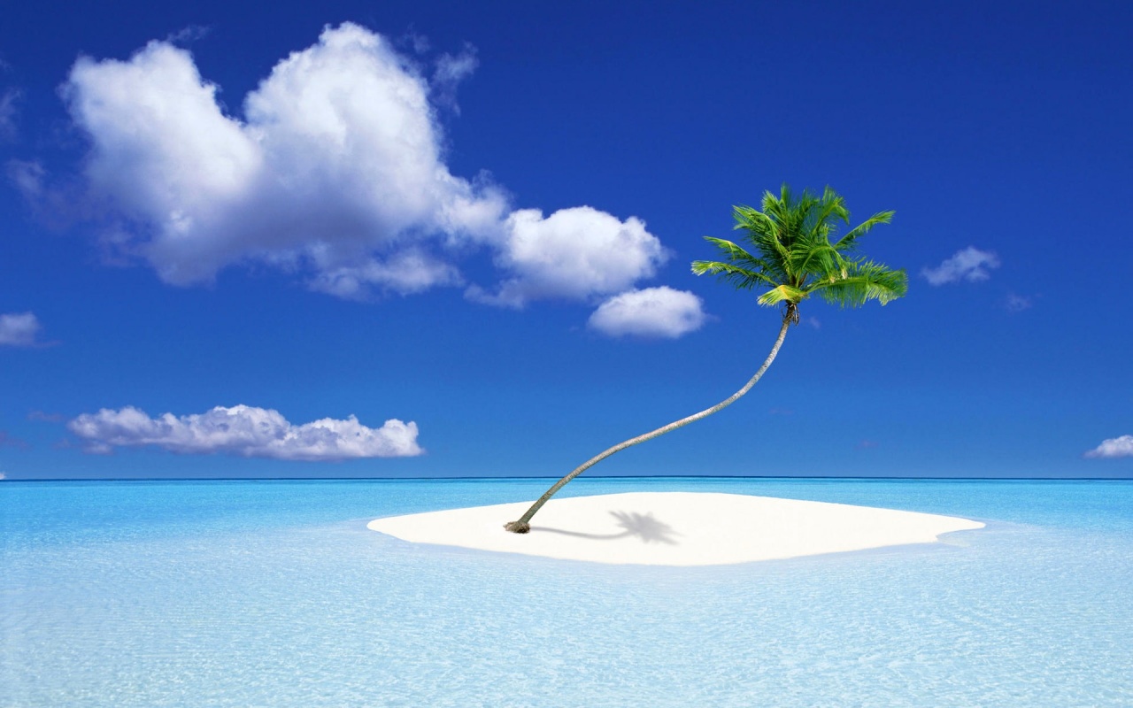 Palm Tree Island Desktop Pc And Mac Wallpaper