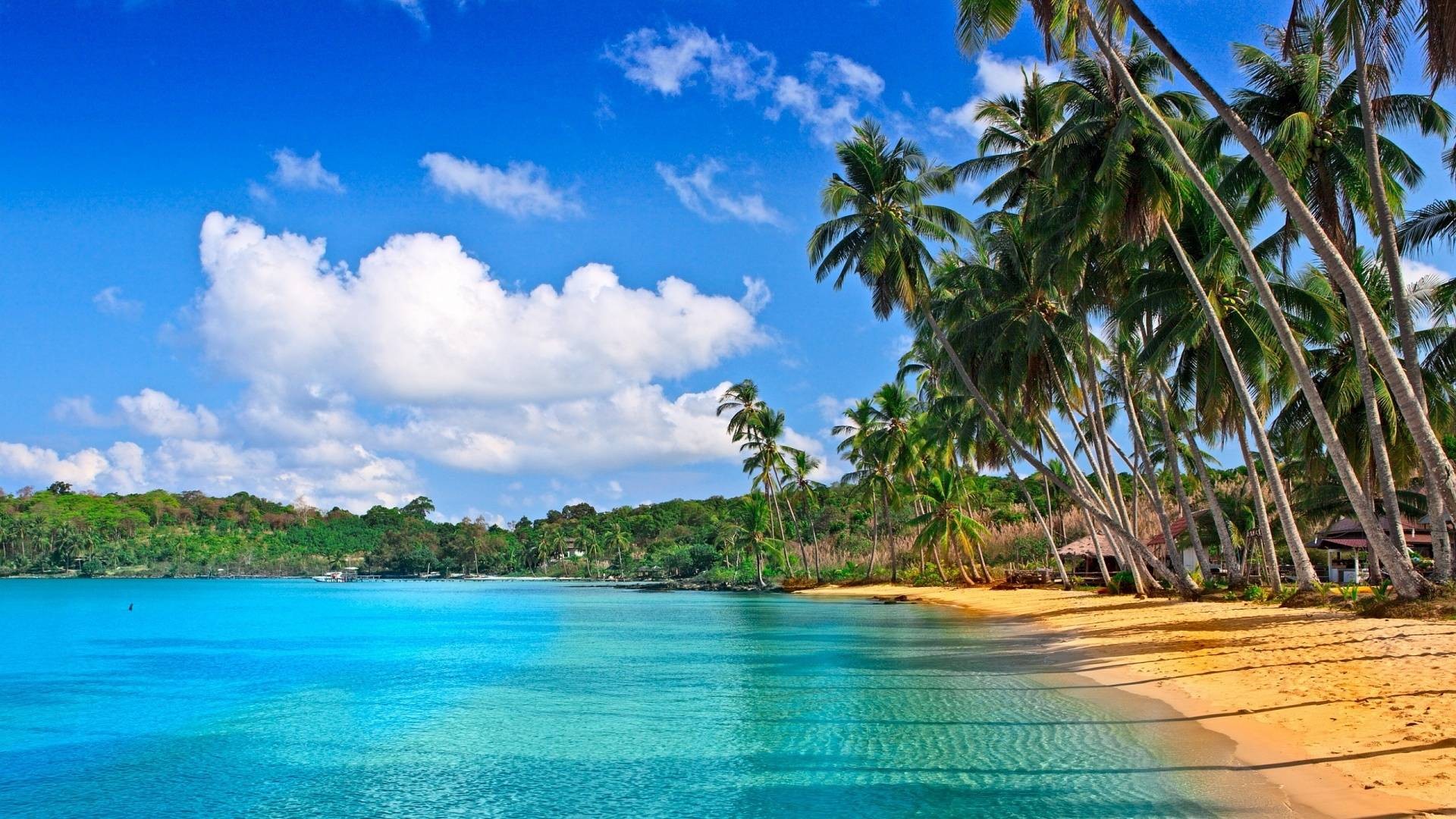 Barbados Caribbean Desktop Background Pictures New Best HD