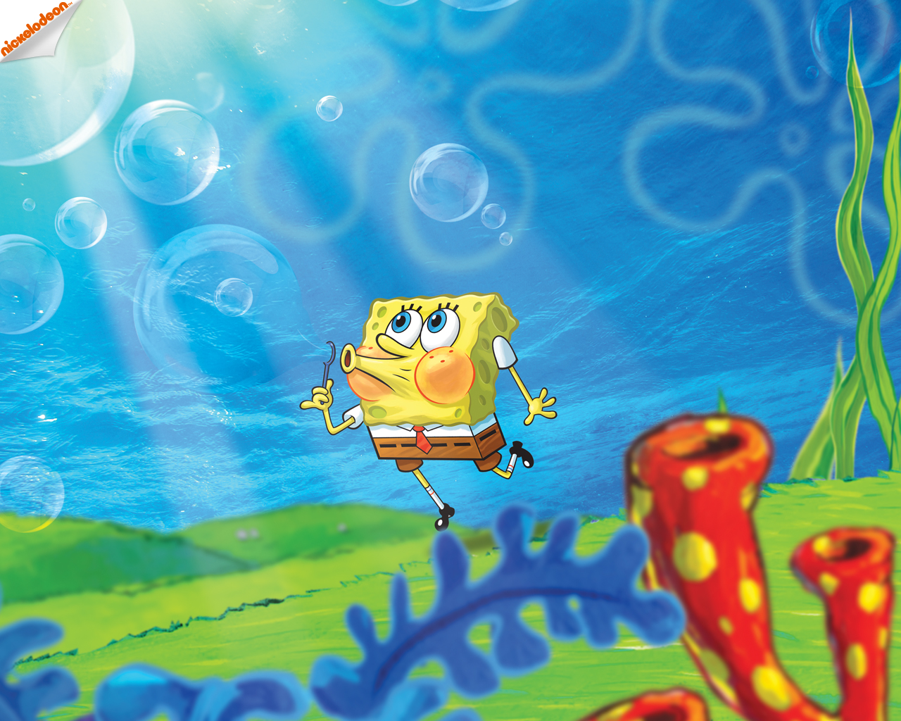 Spongebob Schwammkopf Squarepants Wallpaper