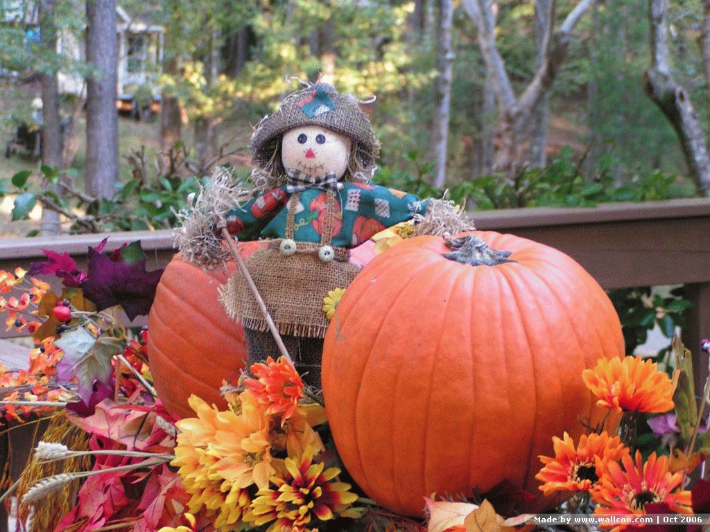 Fun Fall Scarecrow And Pumpkin1 Cool Wallpaper