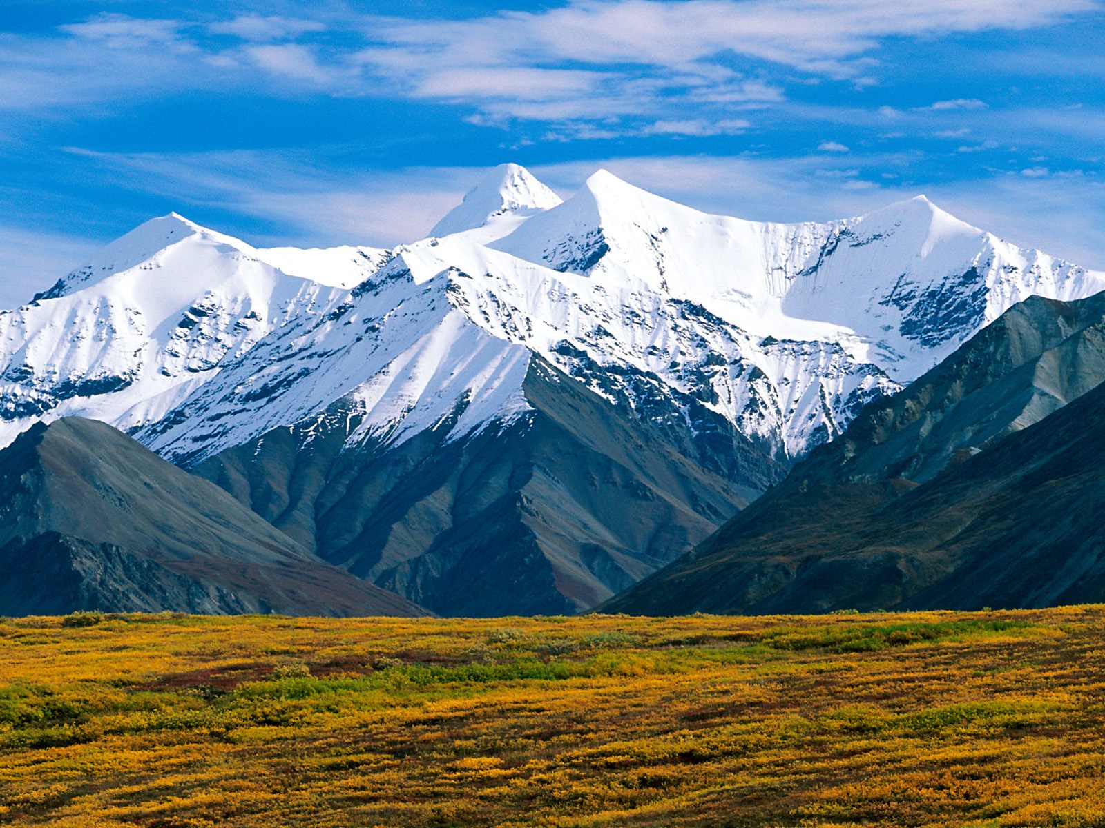 Denali National Park Alaska Wallpaper HD