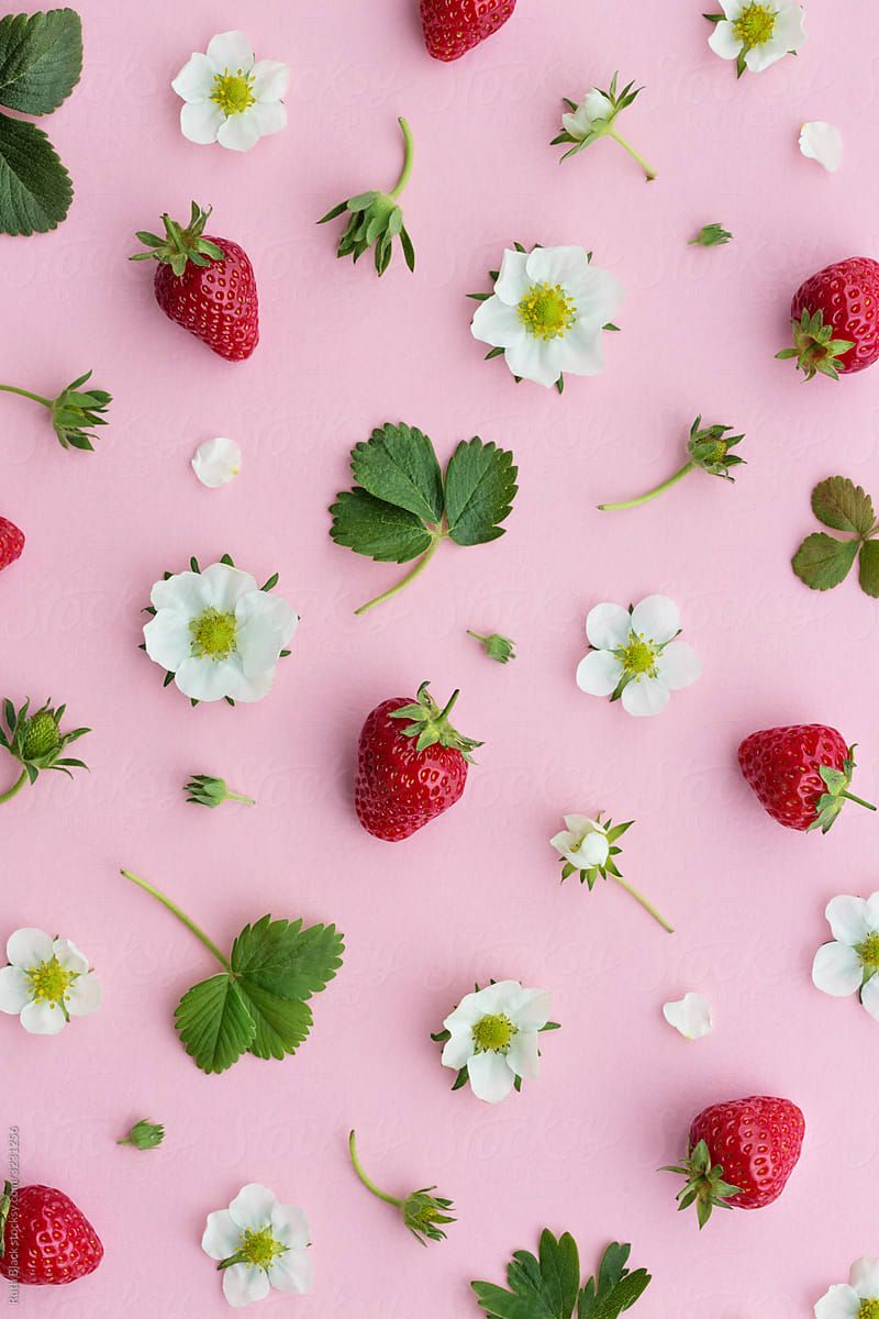 S Stocksy Strawberry Fruit And Flowers On A