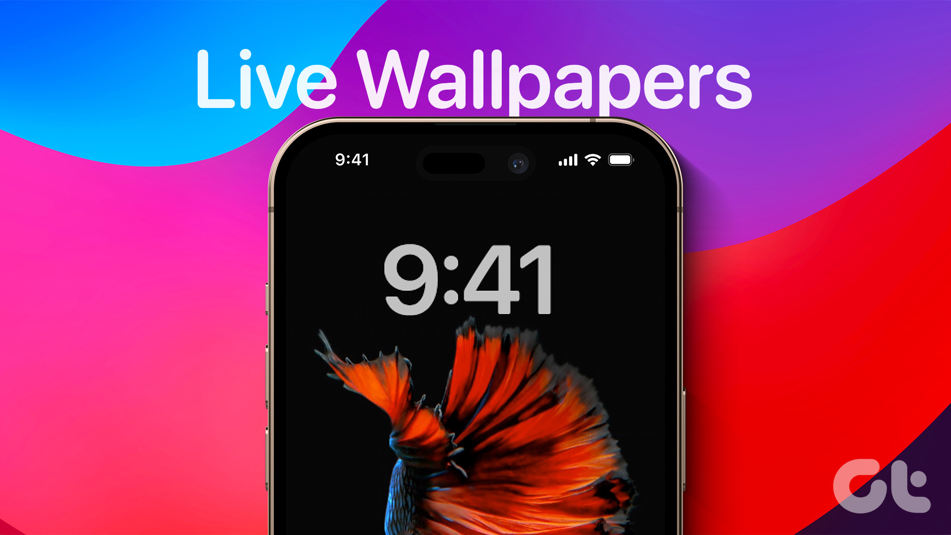 A smartphone displaying a live wallpaper of a betta fish