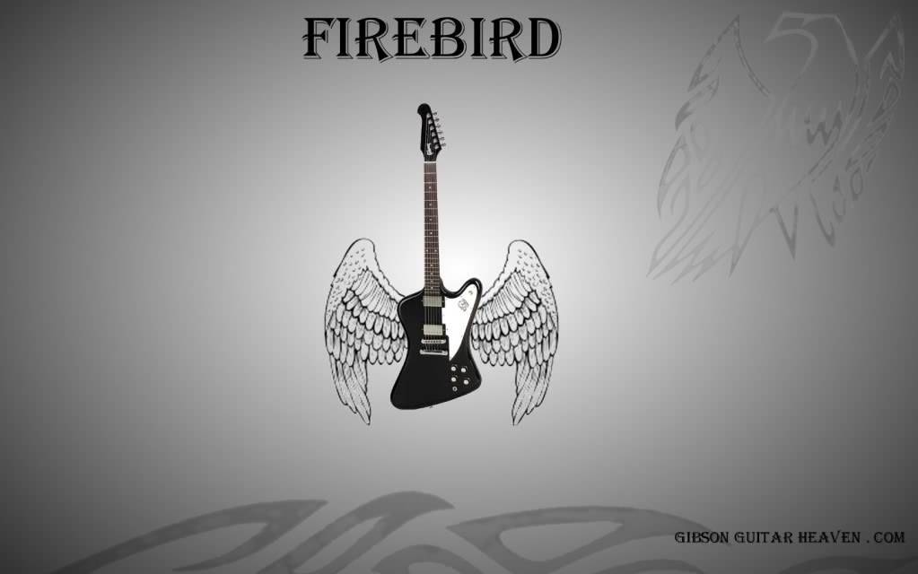 Fire Bird Wallpaper Background Theme Desktop