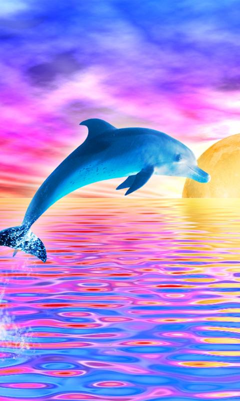 Rainbow Dolphin Live Wallpaper Screenshot