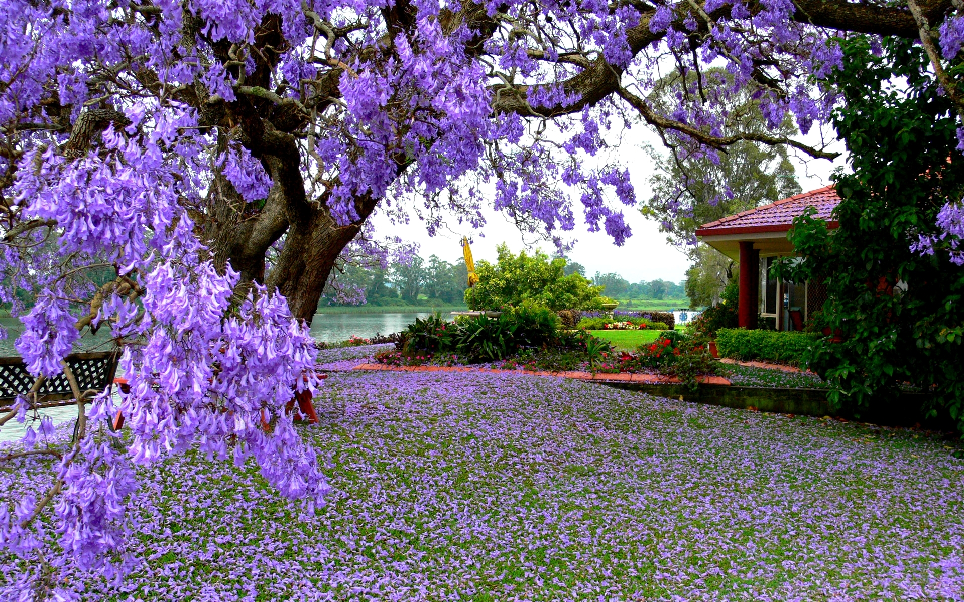 Spring Background Wallpapers WIN10 THEMES