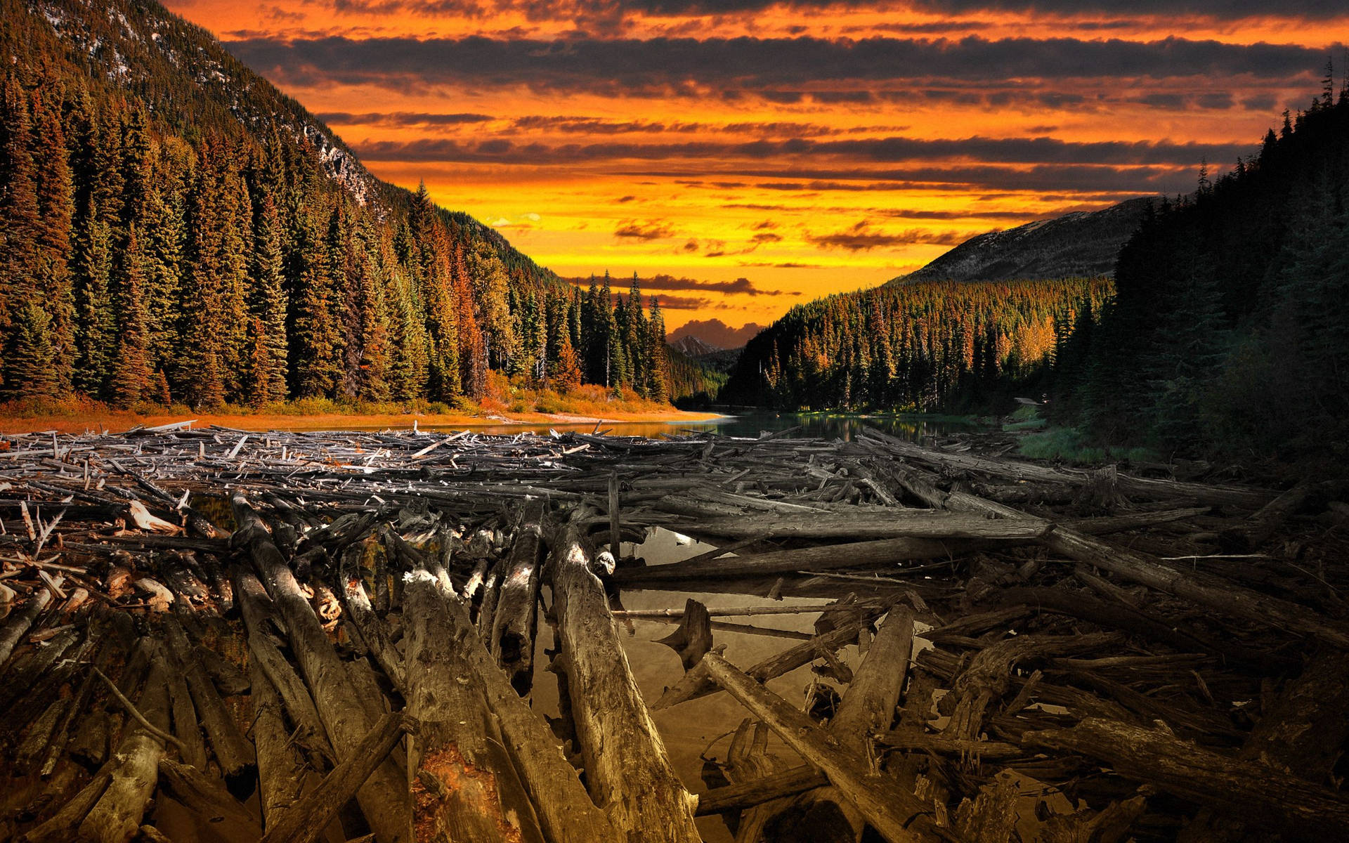 Wood Logs Water Crossing Colors Alloy Tcowa4wdtj0nqkln Wallpaper