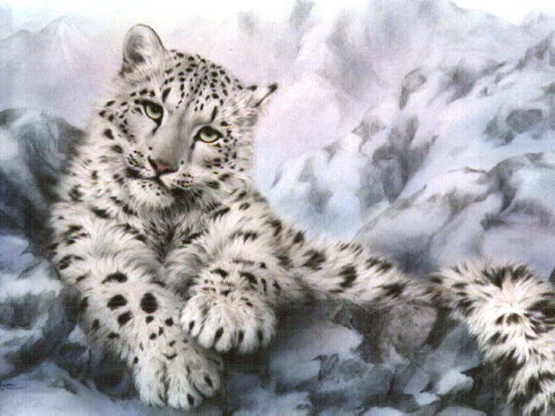 Snow Leopard Wallpaper Os X Tedlillyfanclub