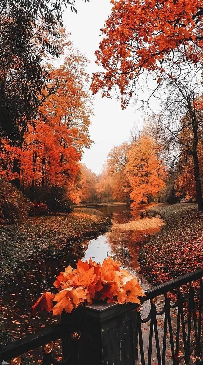 Beautiful Autumn Image Fall