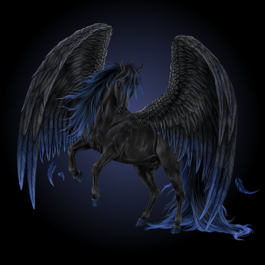 Black Pegasus By Howrseprofile