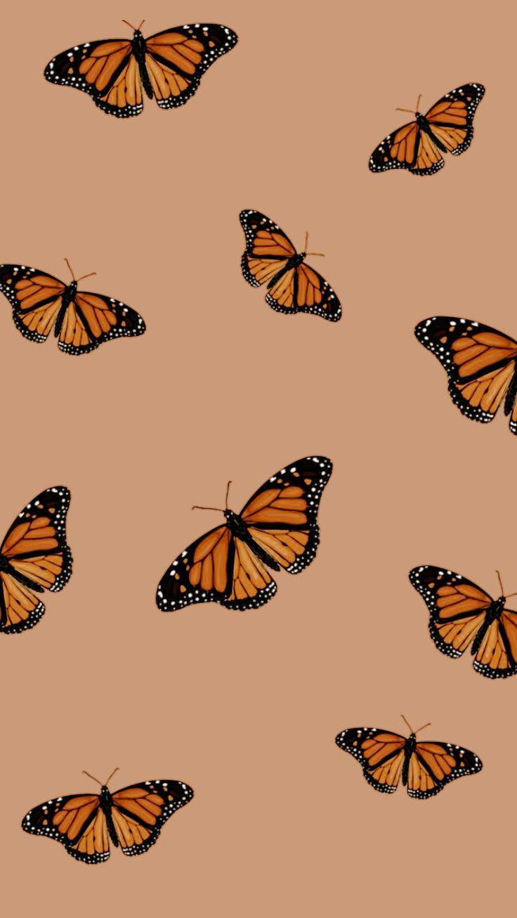 Cute Aesthetic Butterflies Wallpaper iPhone
