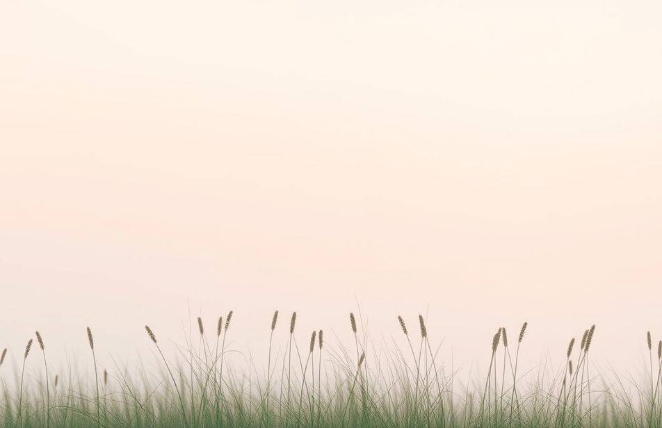 Minimalist Aesthetic Wallpaper