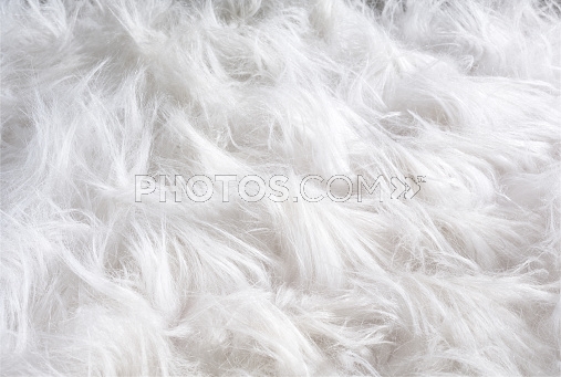 Fur Textured Bear Effect Rug Animal Background White