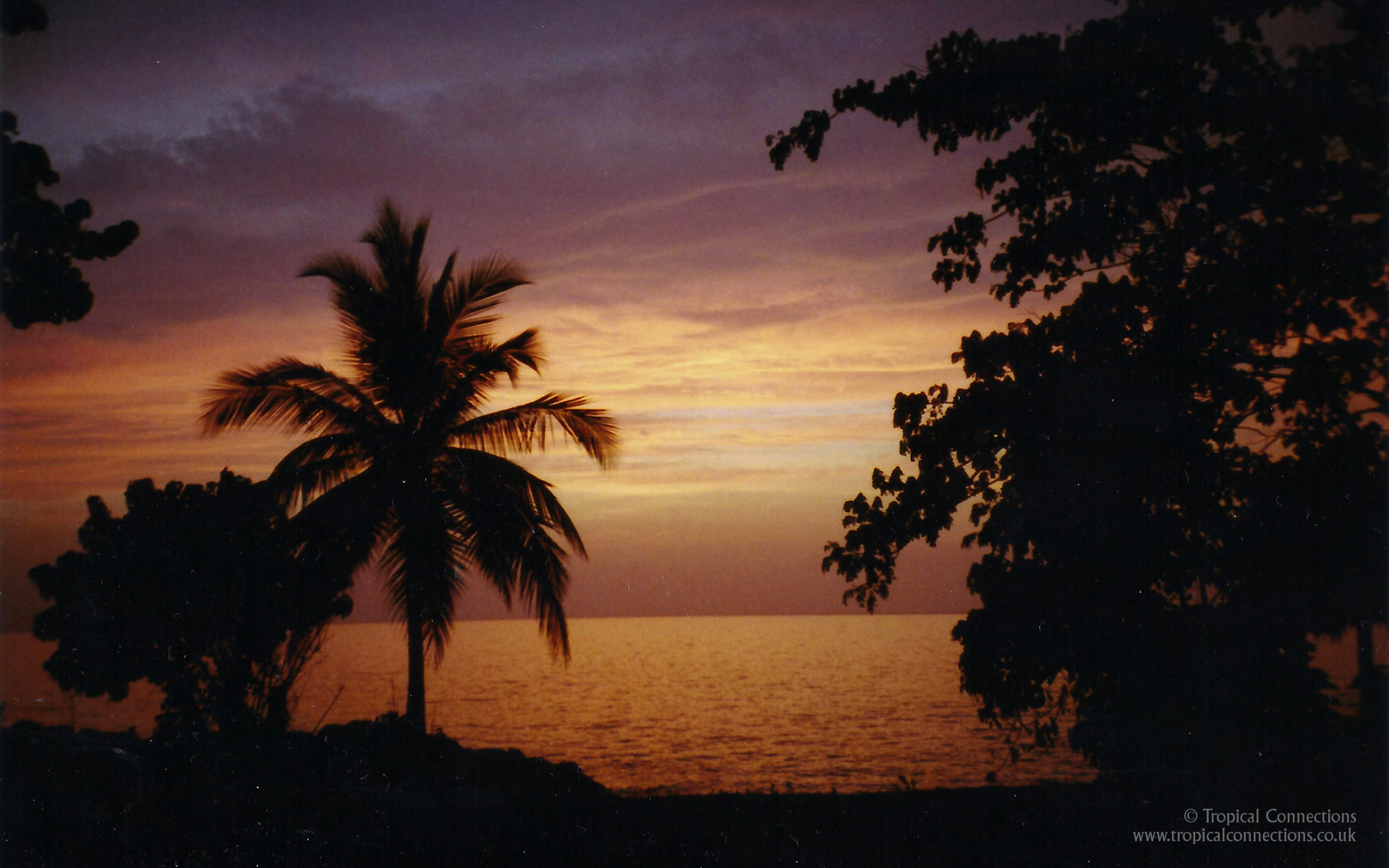 X Pixel Widescreen Wallpaper Of Sunset In Jamaica