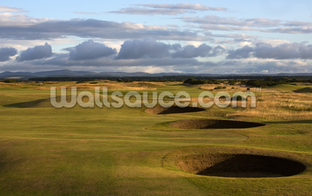 St Andrews Old Course Wall Mural Wallsauce Uk