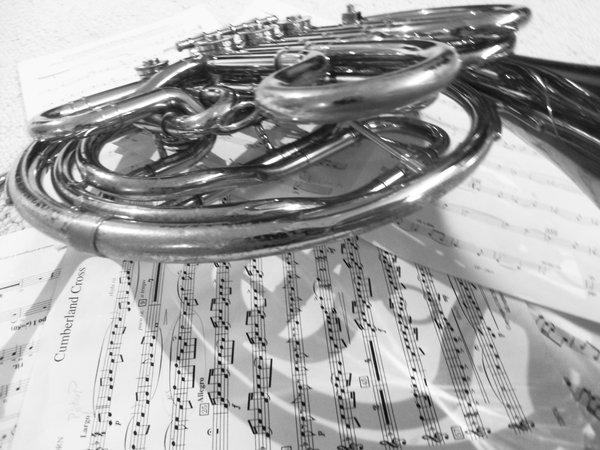 French Horn Wallpaper On Music Bw By Beaverg