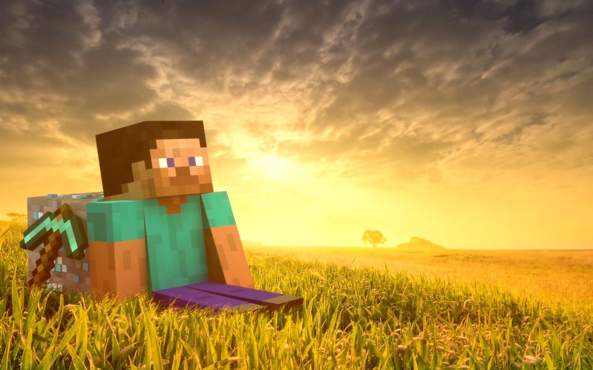 Steve Minecraft Wallpaper HD Of