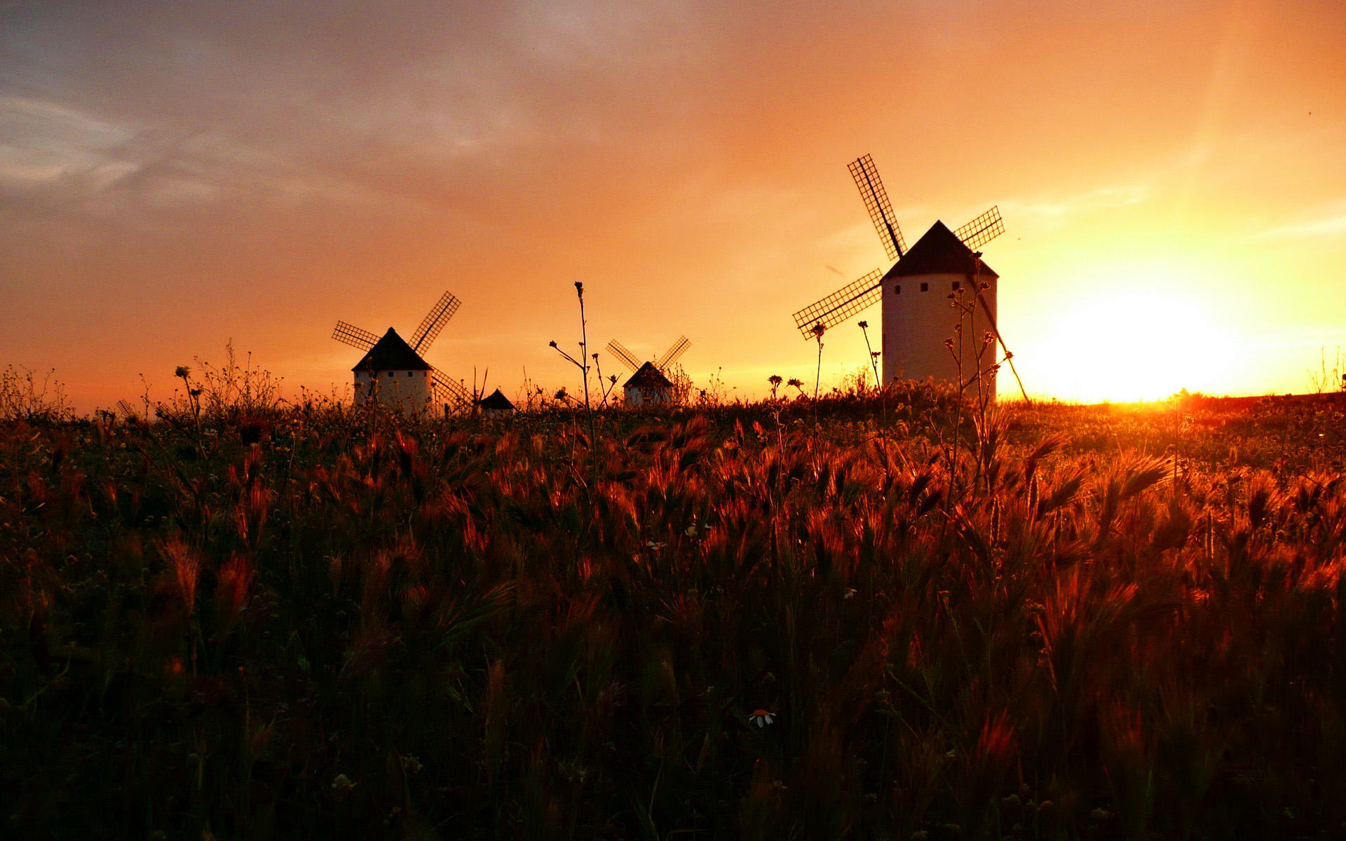 Dutch Windmill Wallpaper