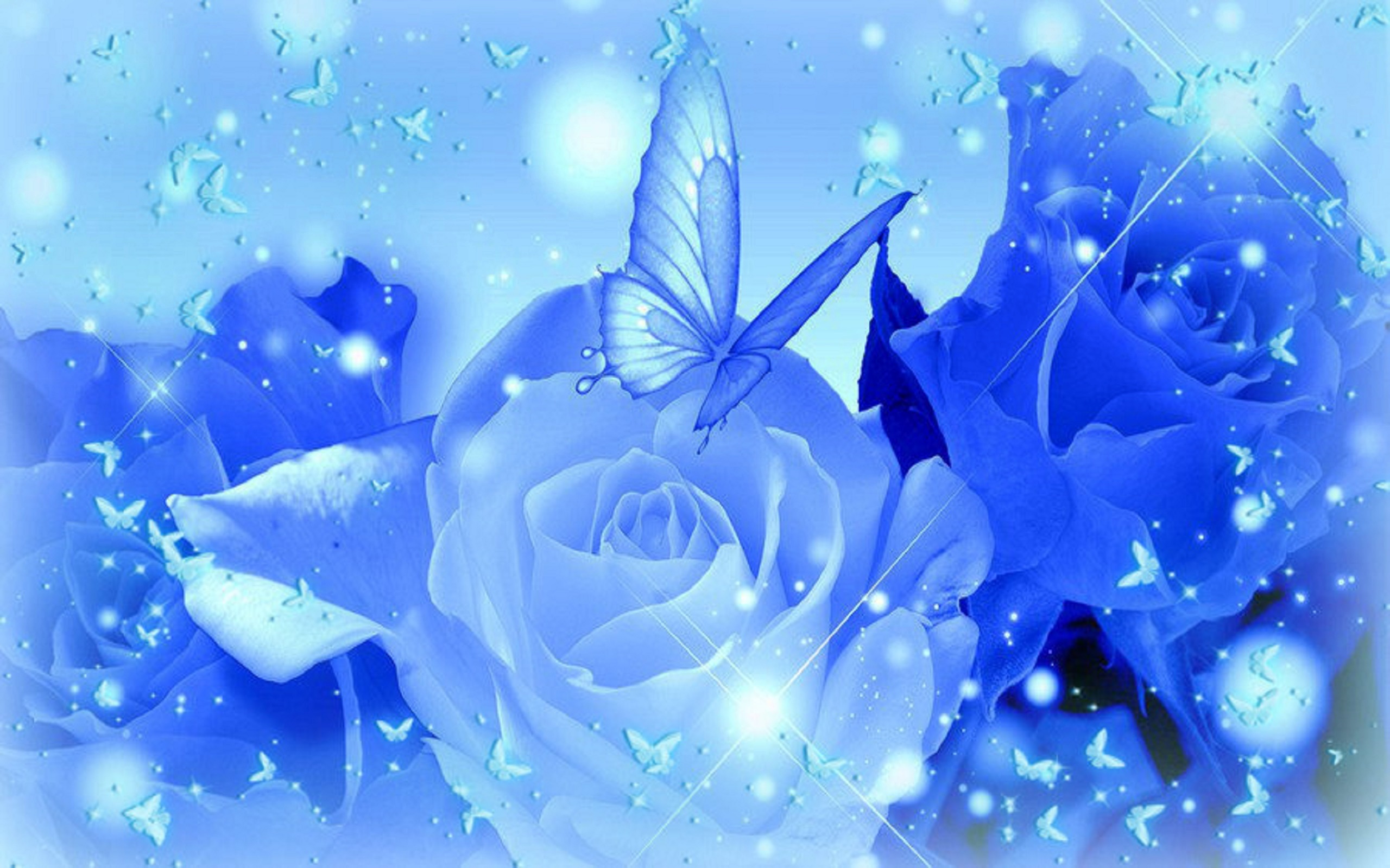 Light Blue Roses Wallpaper