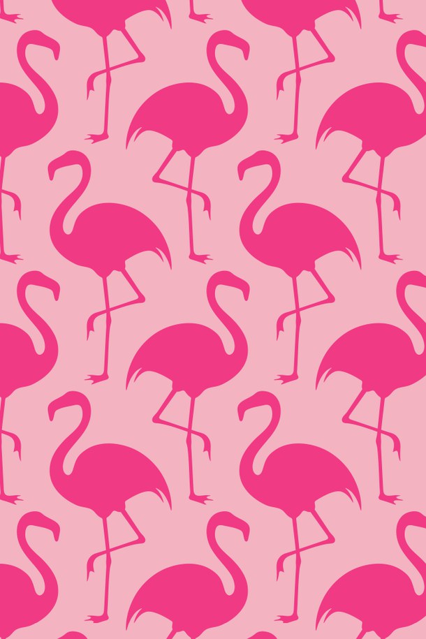 Flamingo Pink Wallpaper Image By Patrisha On Favim