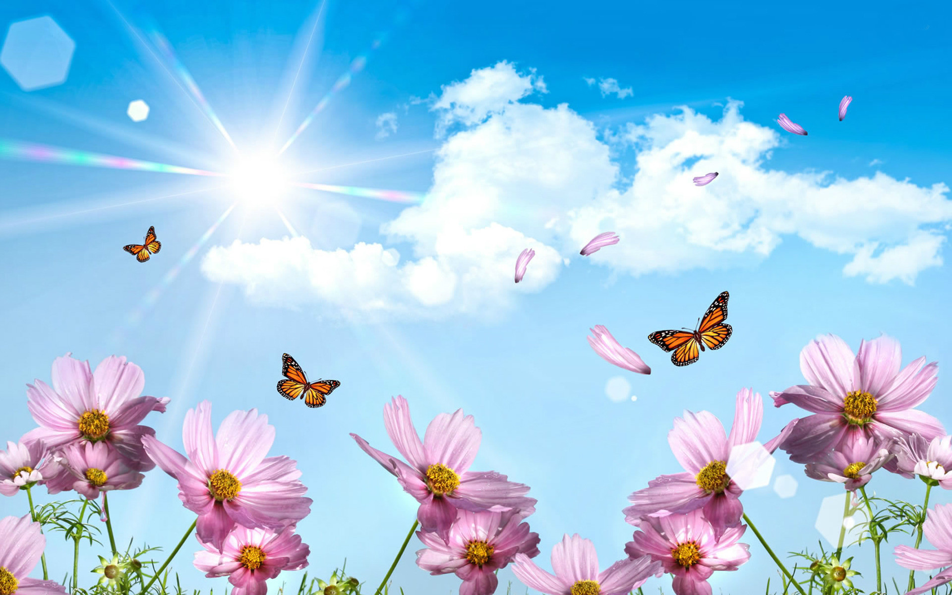 free desktop wallpaper springtime which is under the spring wallpapers