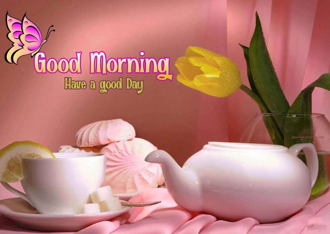 Good Morning Wallpaper HDQ Good Morning Images Collection for