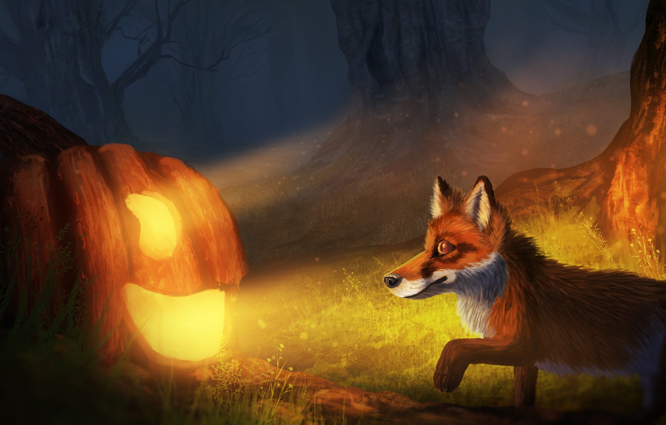 Wallpaper Autumn Forest Night Fox Halloween Jack By