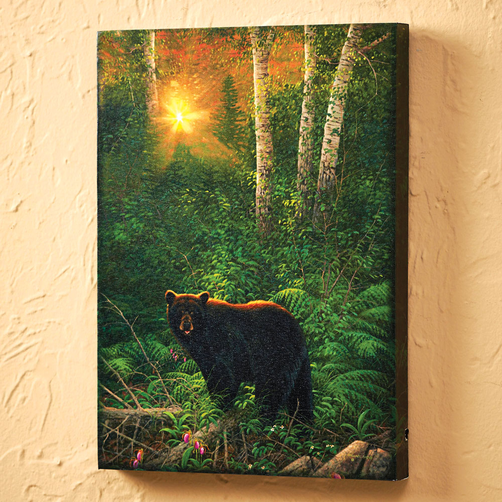 Black Bear Lighted S Wall Art