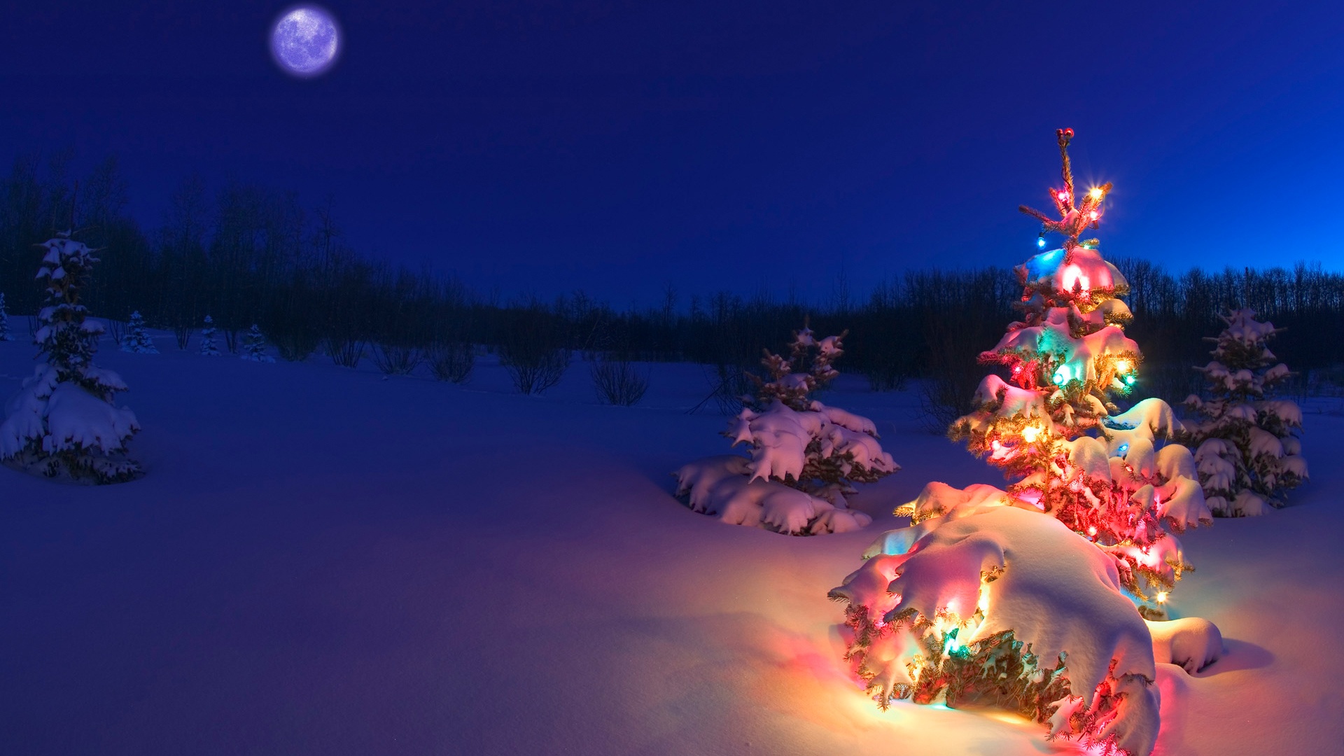 Weihnachtsbaum Im Schnee Hintergrundbilder