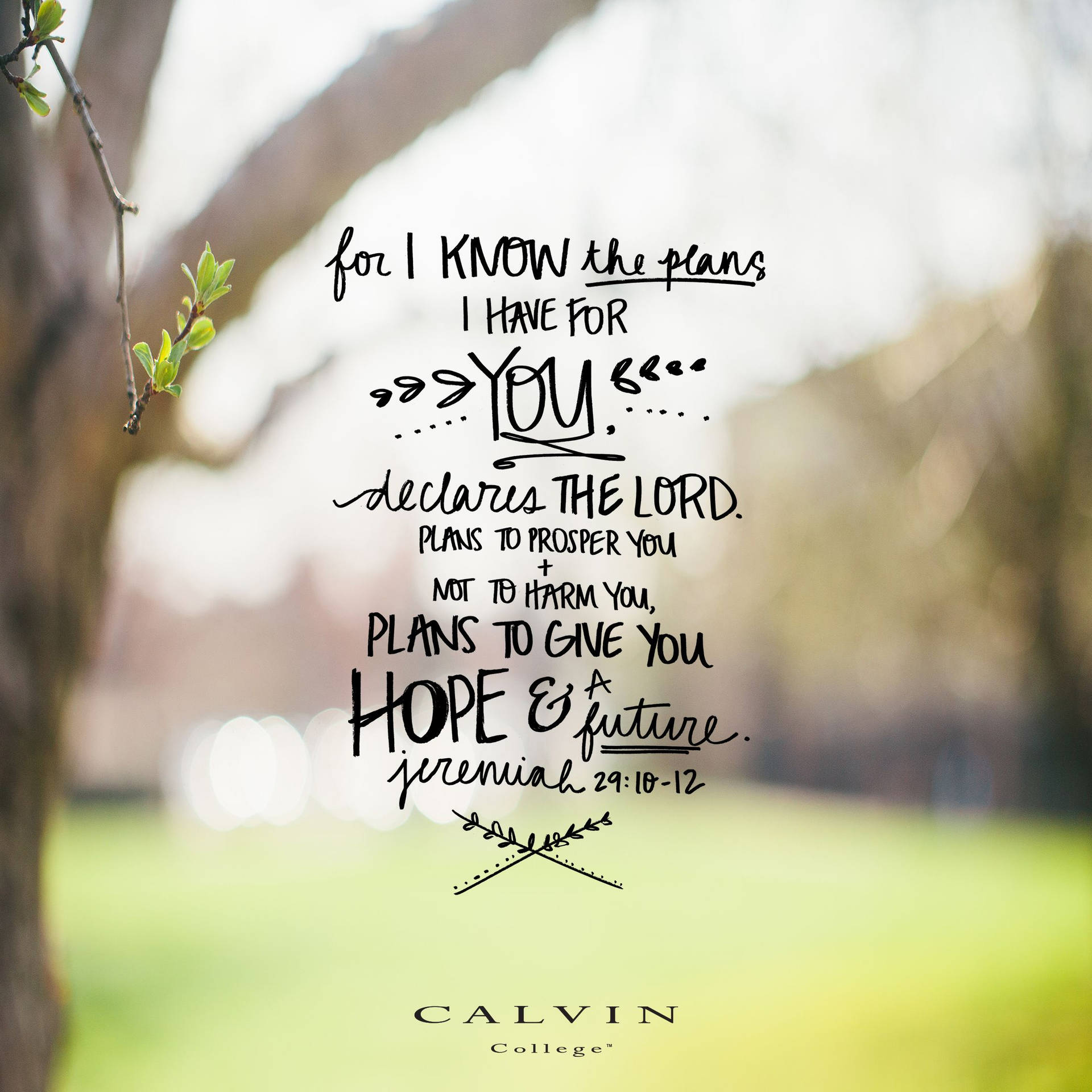 Bible Verse Wallpaper
