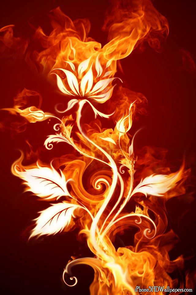 HD Fire Flower Wallpaper And Background iPhone