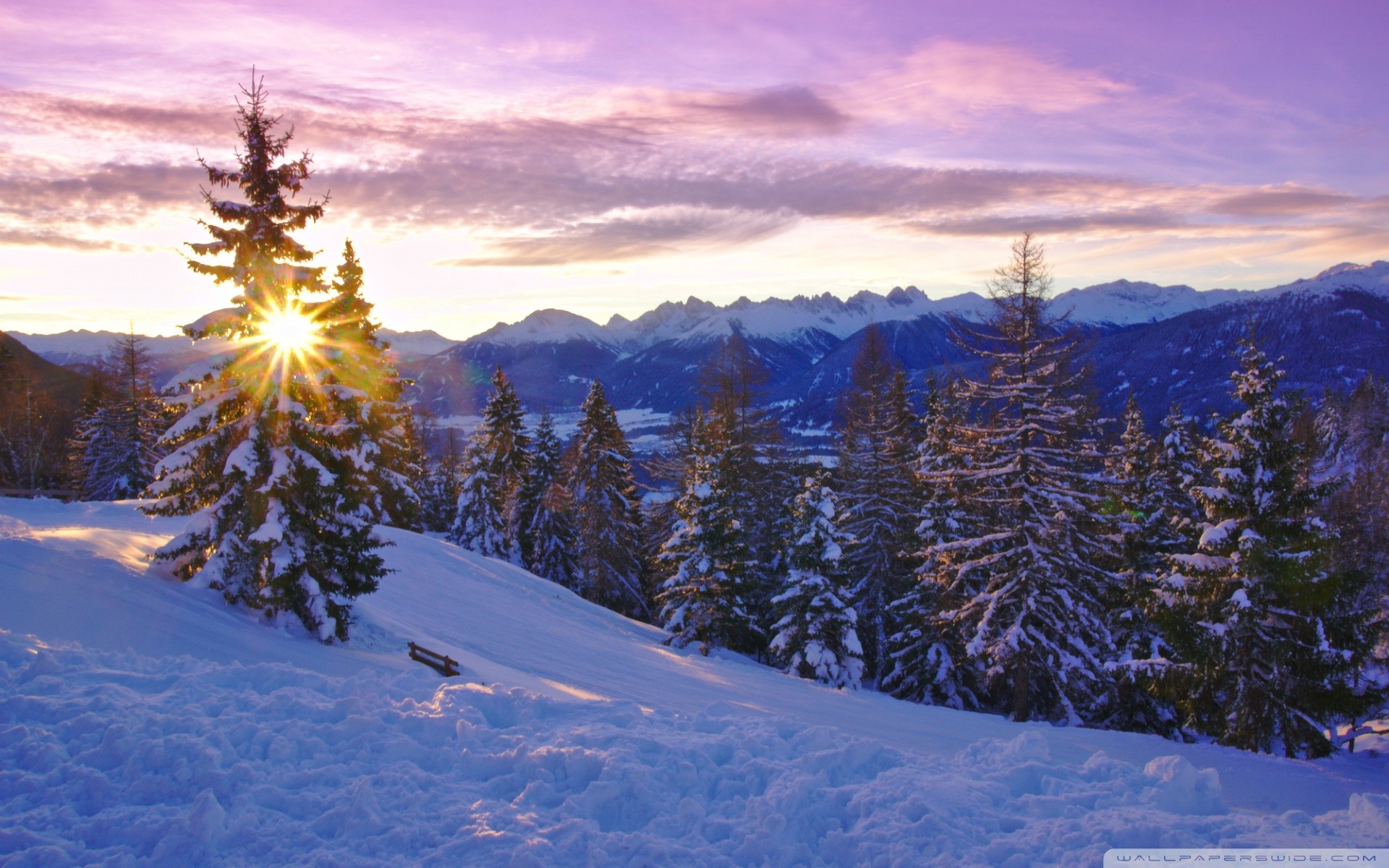 Winter Solstice Wallpaper