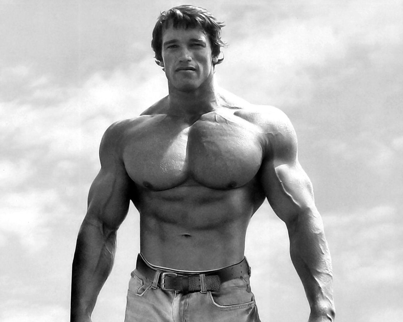 Arnold Schwarzenegger Classic Wallpaper And New Photos