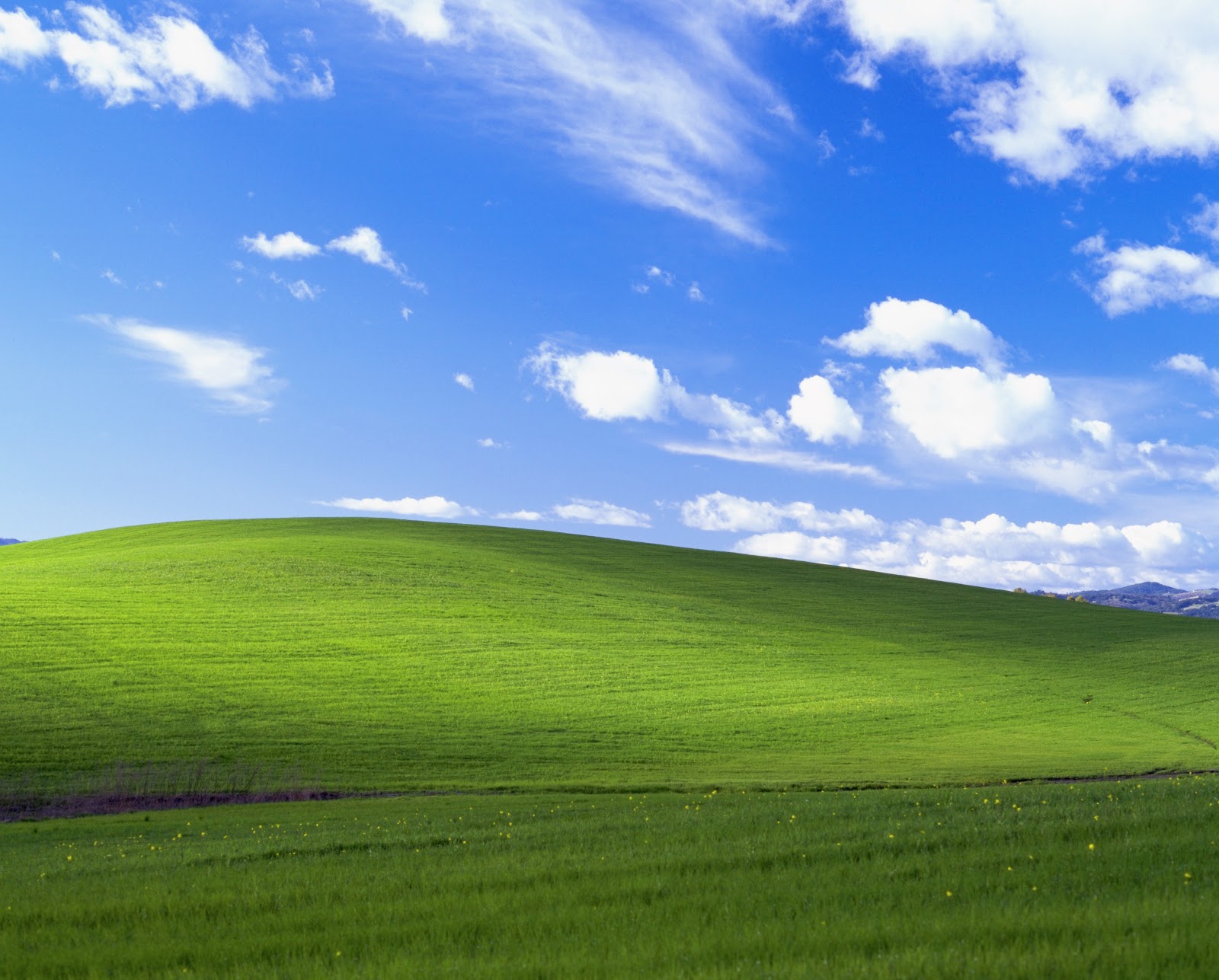 Hình nền Windows XP cũ: Hãy khám phá những ký ức tuổi thơ với hình nền Windows XP cũ. Với những đường cong quen thuộc và gam màu đặc trưng, hình nền này sẽ mang đến cho bạn cảm giác quay trở về quá khứ. Nhấp để tải về và trang trí cho màn hình máy tính của bạn ngay bây giờ!