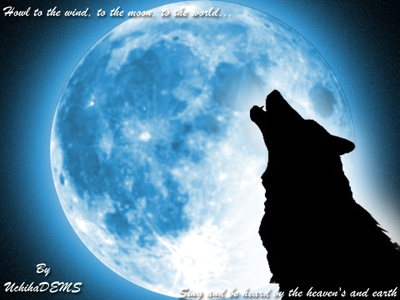 Awesome Wolf Background Moon Wallpaper
