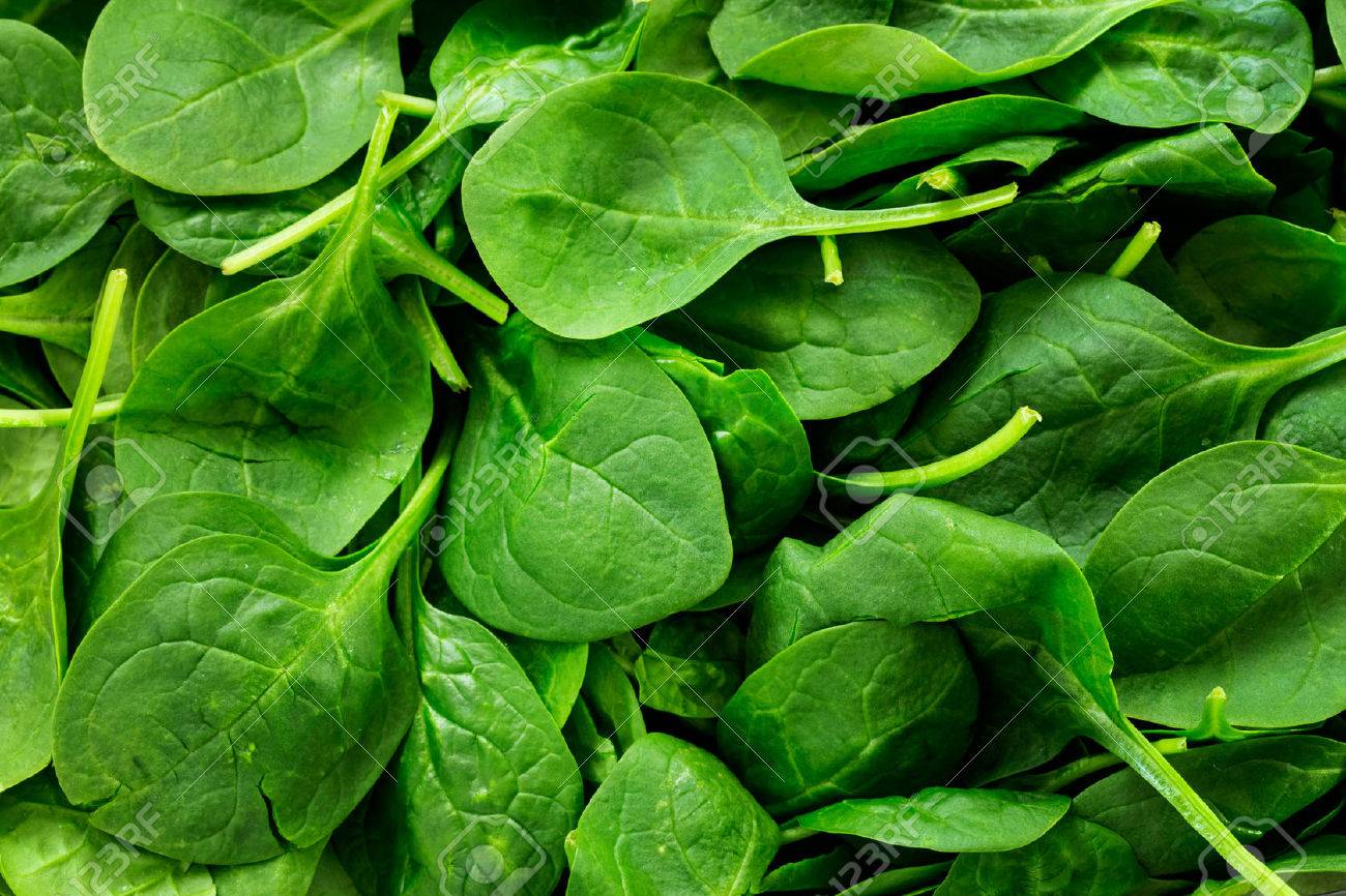 Spinach Background Stock Photo Picture And Royalty Image